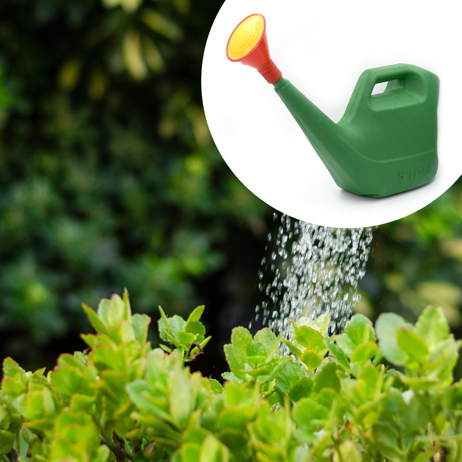 9021 Plastic Watering Can Water Sprayer Sprinkler for Plants Indoor Outdoor Gardening, 5 LTR DeoDap