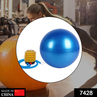 7428 Heavy Duty Gym Ball Non-Slip Stability Ball with Foot Pump for Total Body Fitness DeoDap